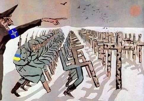 Безумство правительства Польши.