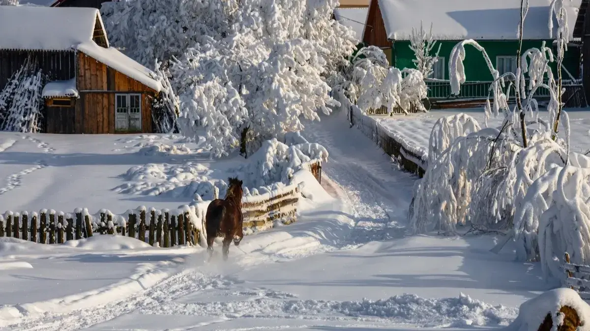 Отдание Рождества Христова, Васильев вечер: приметы, что нельзя делать 13 января? 5 запретов и 7 обязательных дел