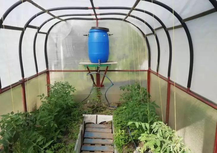 Как посыпать грядки в теплице, чтобы навсегда отпугнуть улиток: они уползают и никогда не возвращаются