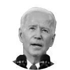 Графика: чем дело Байдена отличается от секретных документов Трампа, изъятых в Мар-а-Лаго