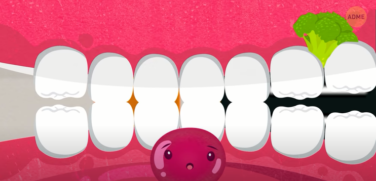 Путешествие по вашему телу.