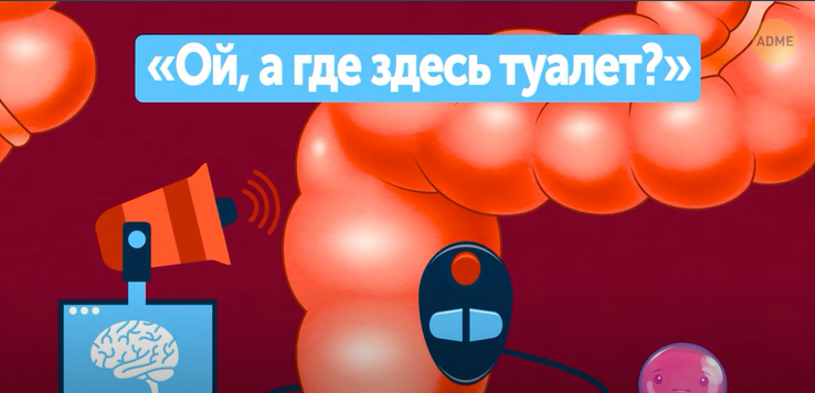 Путешествие по вашему телу.