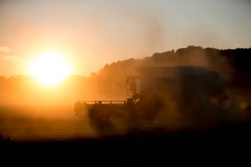 Кризис: Почему 2023 год может стать самым жарким годом в истории человечества на сегодняшний день?