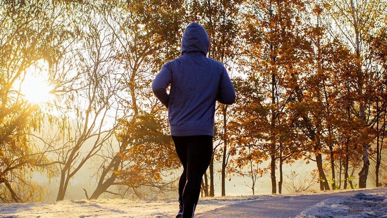 Сколько минут упражнений «наверстать» за день сидя Работа часто заставляет нас сидеть в течение многих часов. Сколько физической активности мы должны