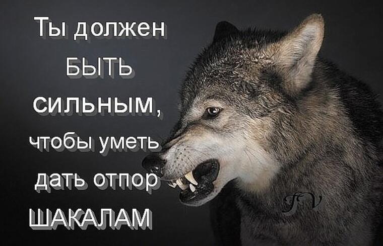 ''Законы Мужественности'', - какие они?