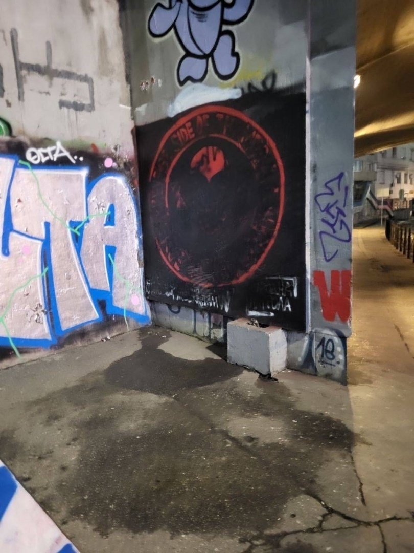 У многих сербов "чешутся руки" при взгляде на поведение российских либералов и русофобов, прибывших из России в Сербию