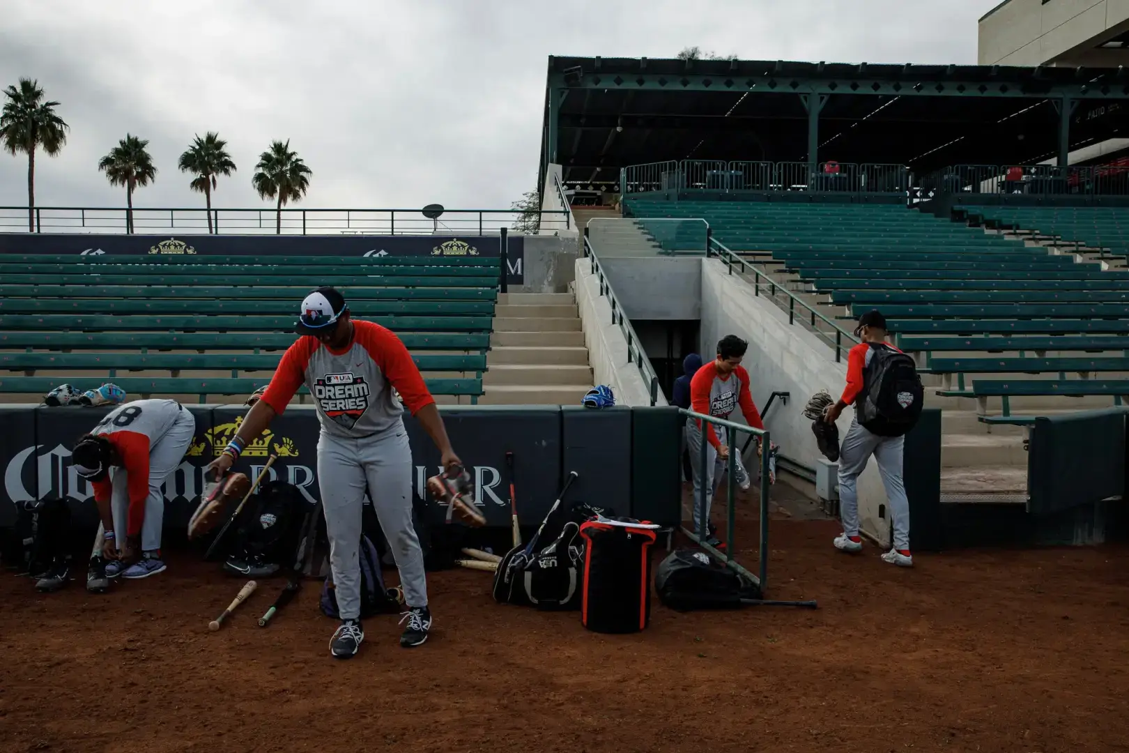 MLB работает над созданием нового поколения чернокожих американских игроков