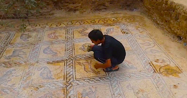 Изысканная мозаика, обнаруженная фермером, сажающим оливковое дерево, прекрасно сохранилась с византийской эпохи!