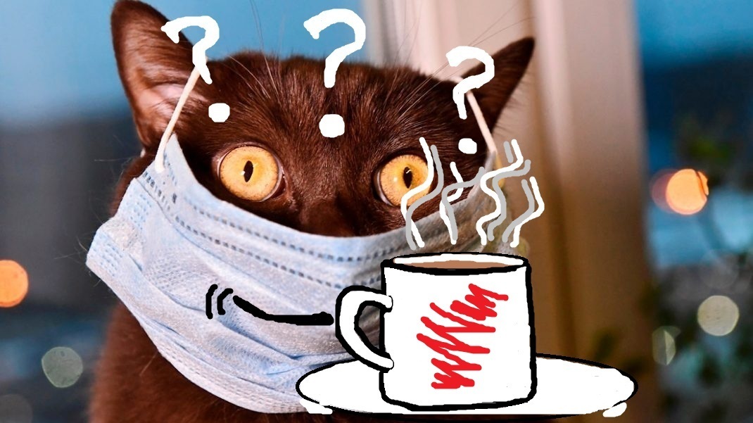 Уже установили новый мессенджер MAX