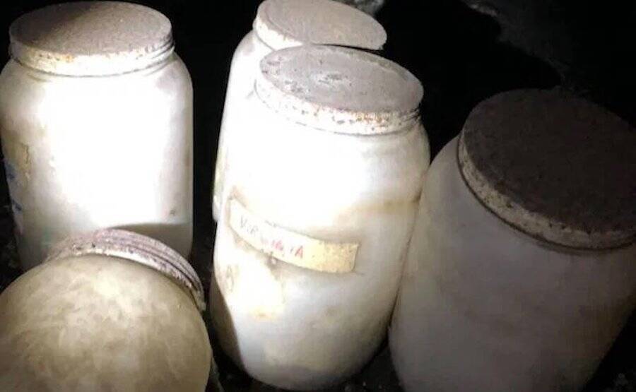 Странные новости о человеческих языках.