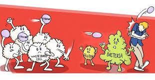 Долголетие: все положительные эффекты куркумы