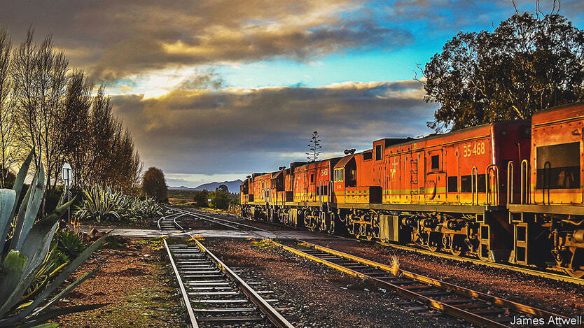 Разрушающаяся грузовая железная дорога Южной Африки наносит ущерб фирмам