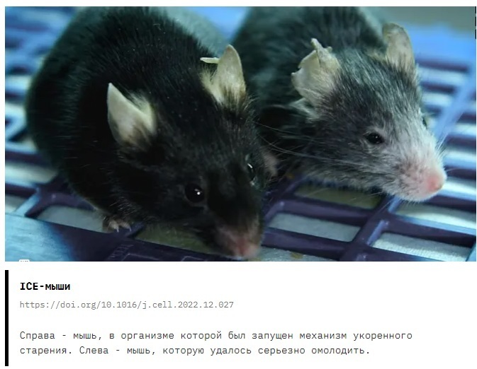 Старение организма можно обратить вспять