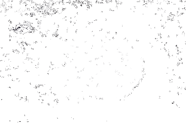 Ударная волна от извержения Тонга ощущалась на другой стороне планеты на расстоянии 18 000 км