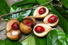 Мускатный орех: когда он может стать опасным и чем?