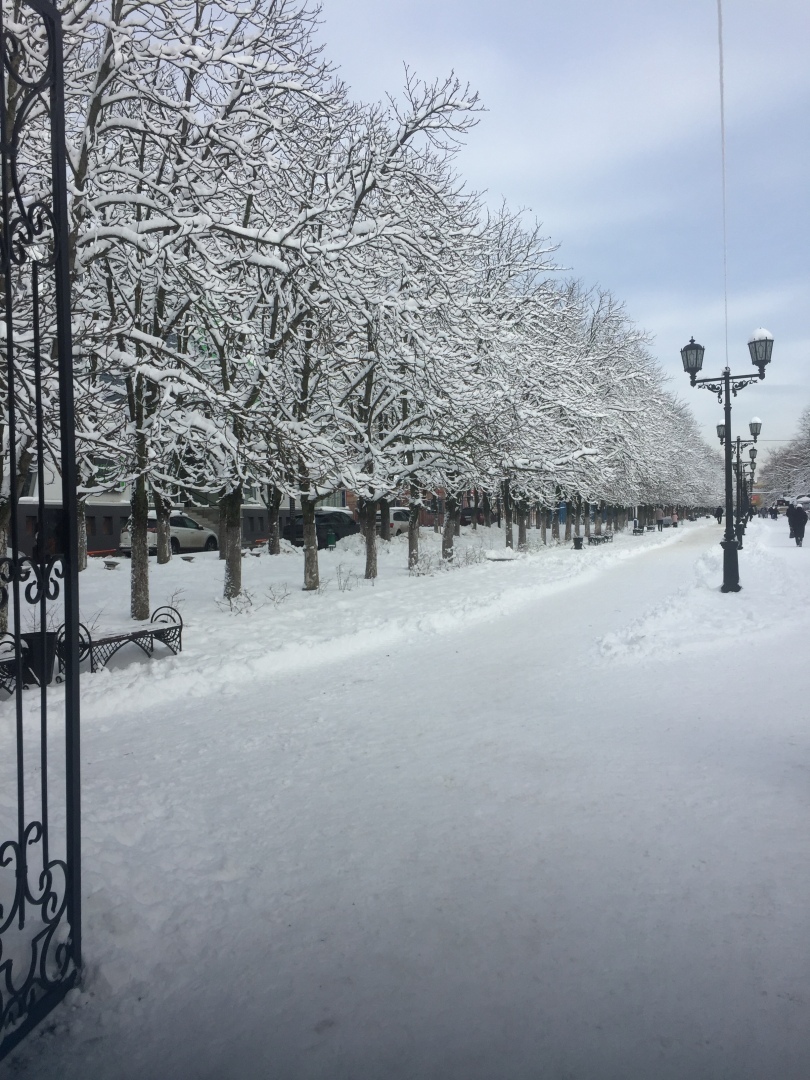 Ростов на Дону, какой он?