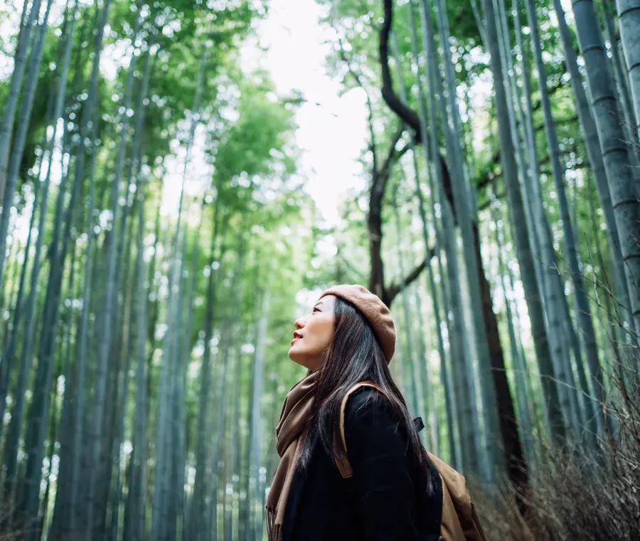 Как Covid-19 изменил отношения с природой: исследование