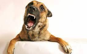 ЗЕВОТА: причины, нарушения и курьезы