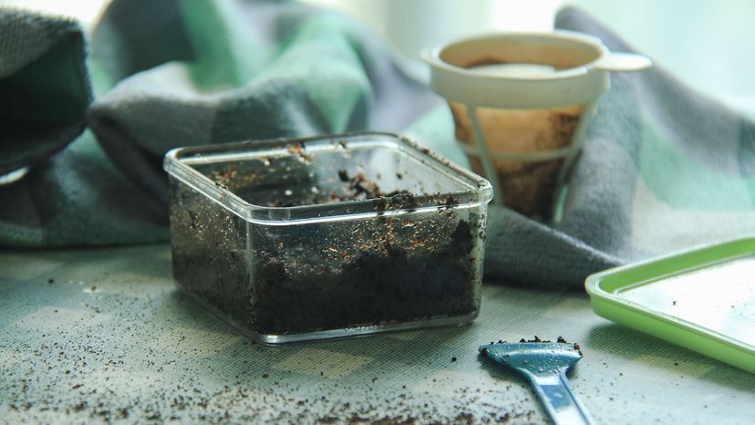 Восемь оригинальных способов утилизировать кофейную гущу !