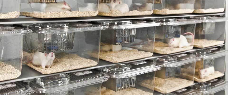 Хищные города Набиуллиной, или Почему умирают деревни