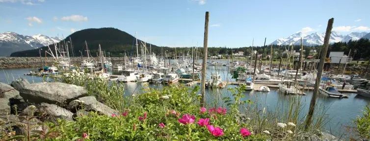 51 доступное открытие по всей Америке и Аляска