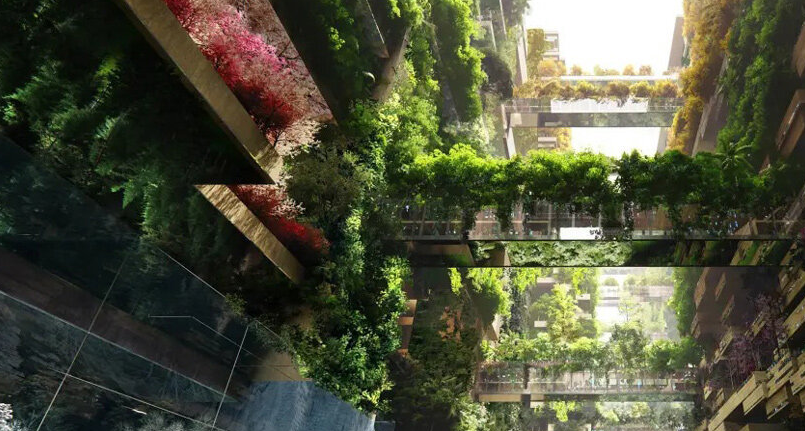 Саудовская Аравия строит город будущего. Это непрерывная линия зеркал длиной 170 км