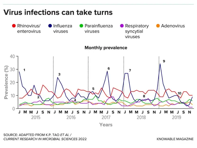 COVID, RSV и грипп. Случаи вмешательства вирусов?