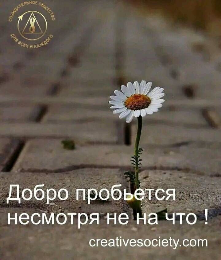 Наша планета(земля)