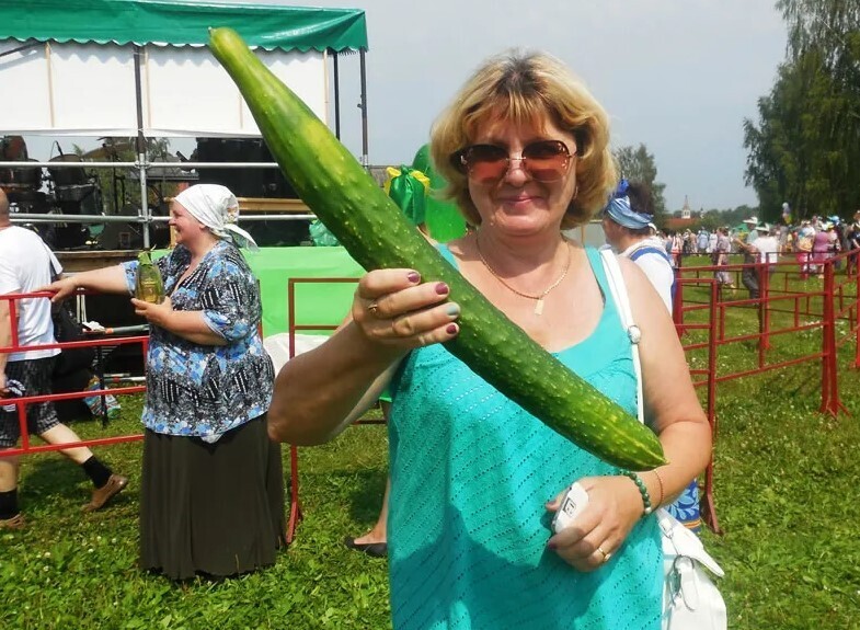 Ученые рассказали о том, как увеличить урожай огурца с помощью зелени