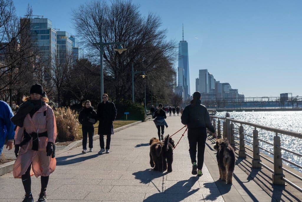 Как эти выгульщики собак зарабатывают более 100 000 долларов в год