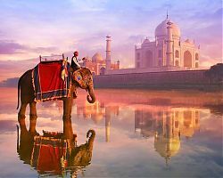 Отпуск на ГОА - за и против.