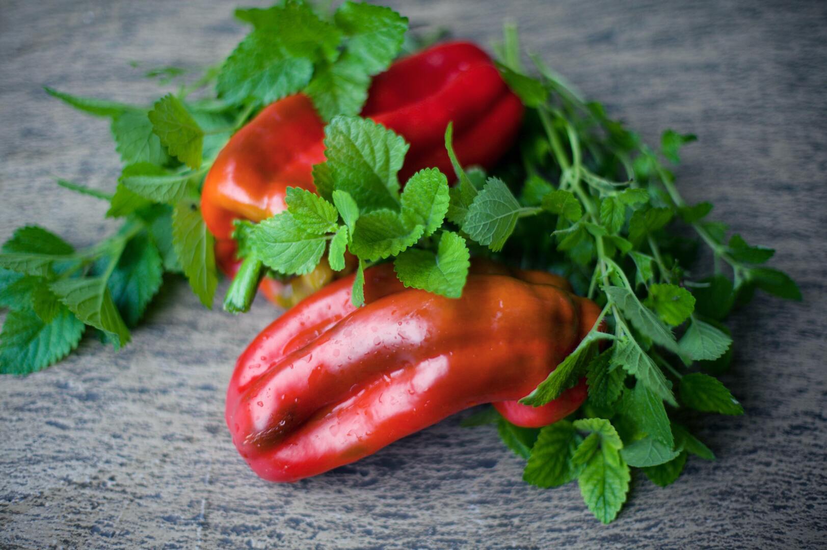 Что любит и не любит кишечник ?!