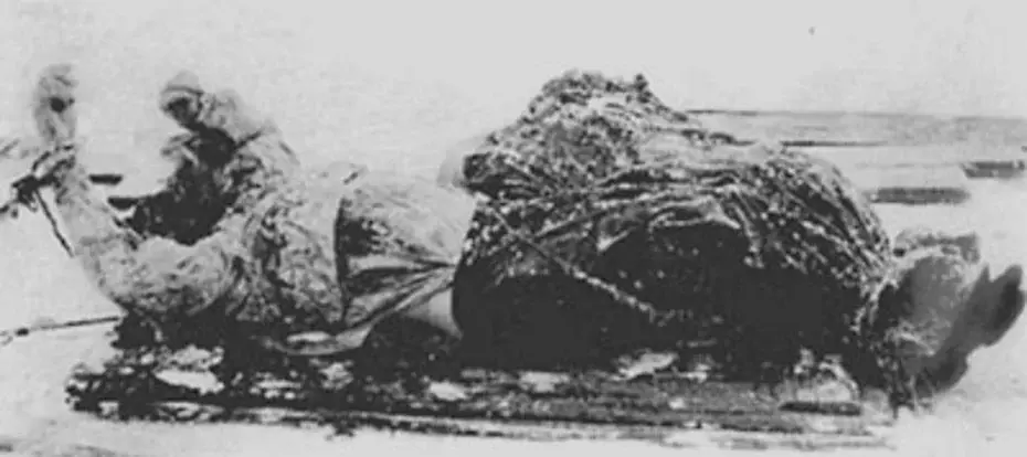 «Меня не будет — вас всех не станет»: история зловещего «старца» Распутина