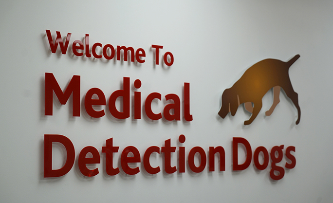 Познакомьтесь с собаками-рекордсменами