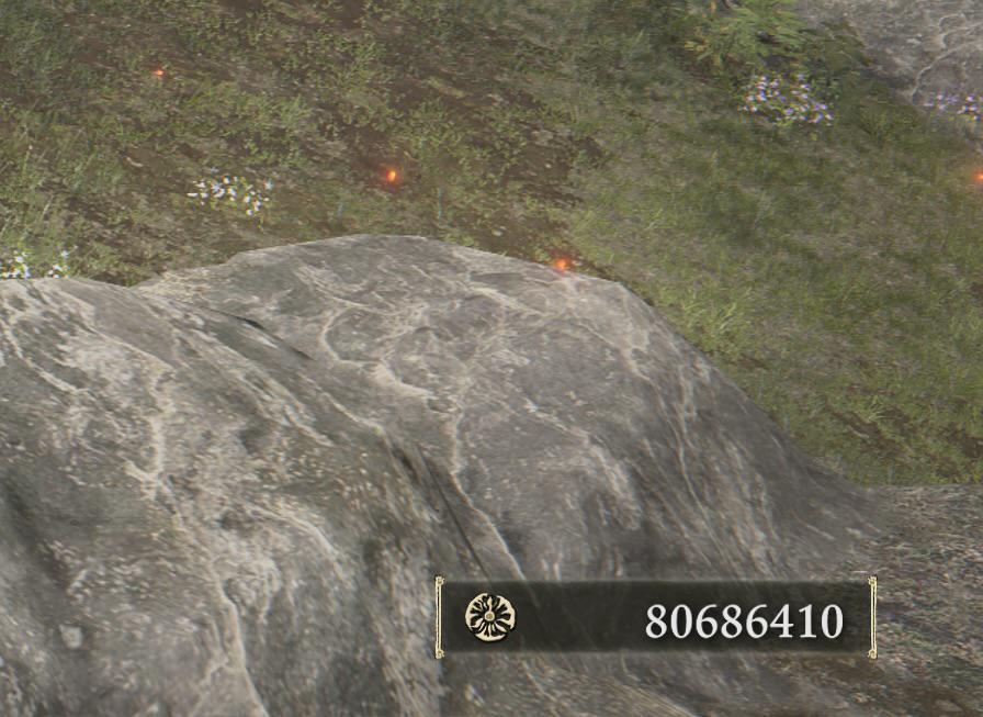 Игрок "Элденринга" имеет состояние в 80 миллионов рупий