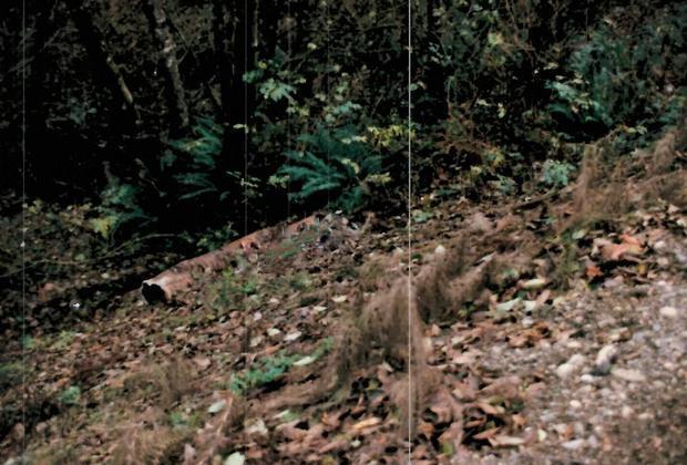 Убийца ускользает от полиции 31 год — как одна женщина нашла его за два часа?