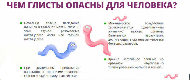 Признаки того, что ваш организм является домом для паразитов