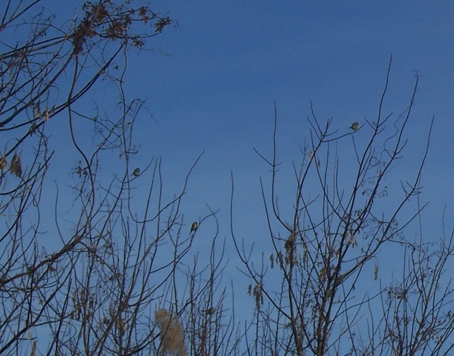 Моё расследование