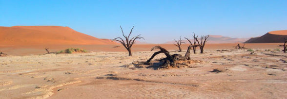 Интересные факты. Пустыни.