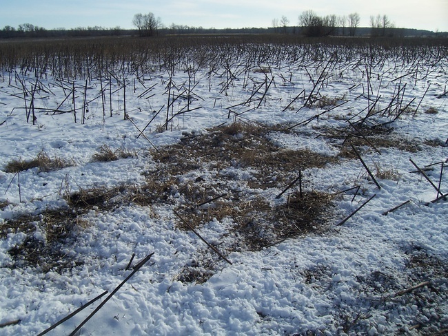 Моё расследование