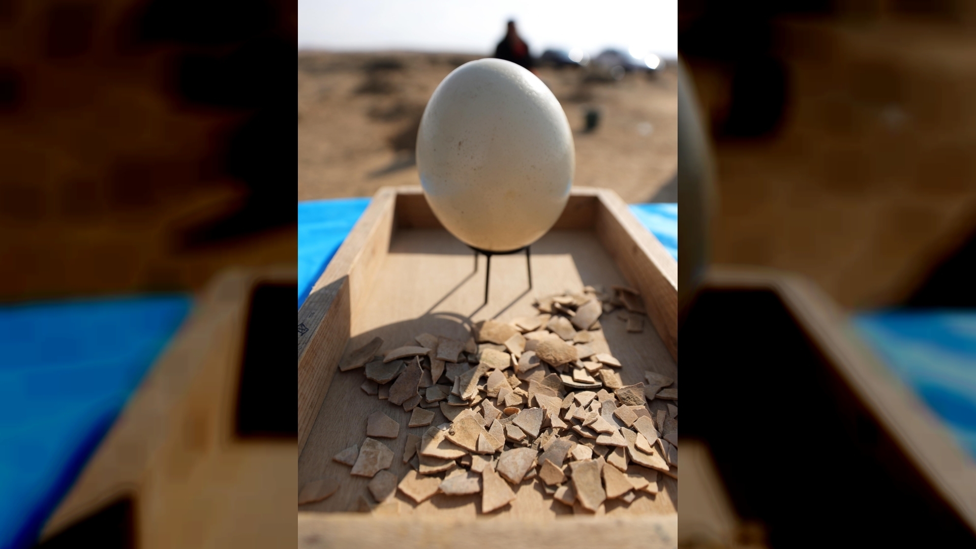 4000-летние фрагменты страусиного яйца найдены в Израиле