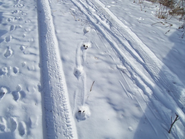 Моё расследование