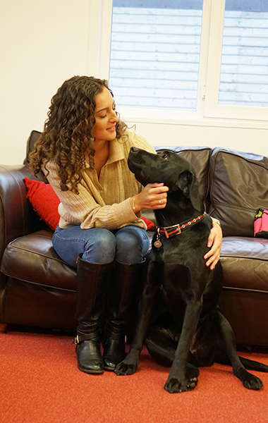 Познакомьтесь с собаками-рекордсменами