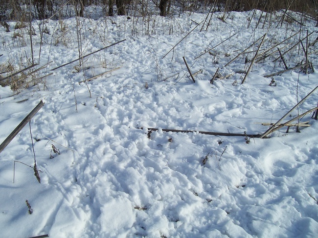 Моё расследование