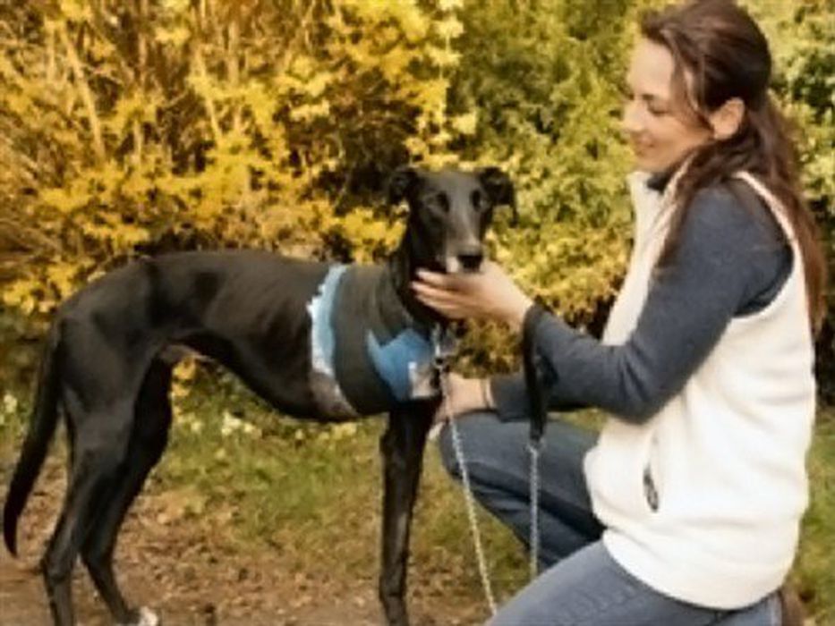 Почему пришло время запретить силки