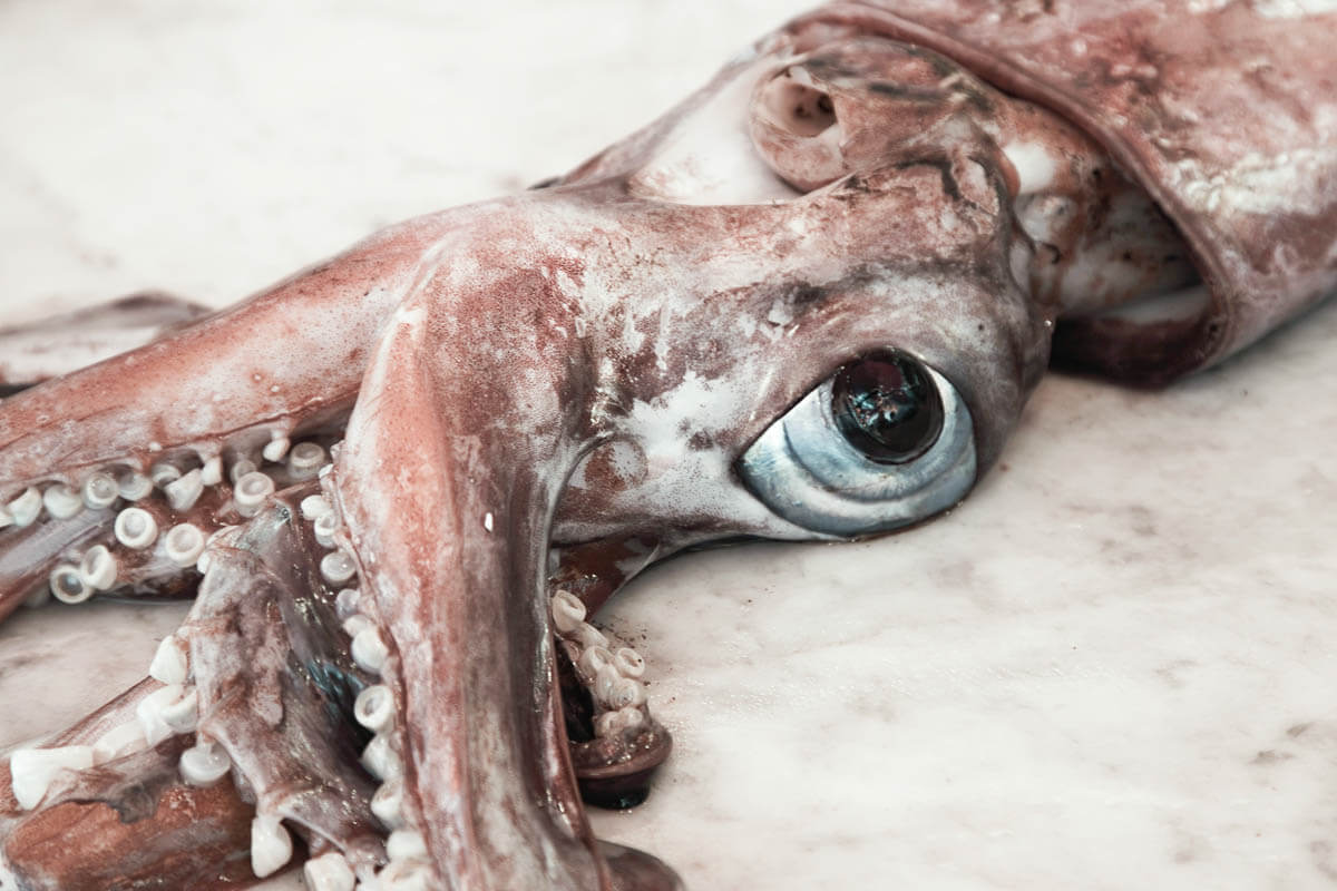 Смотри сюда! 6 Забавных фактов о глазах