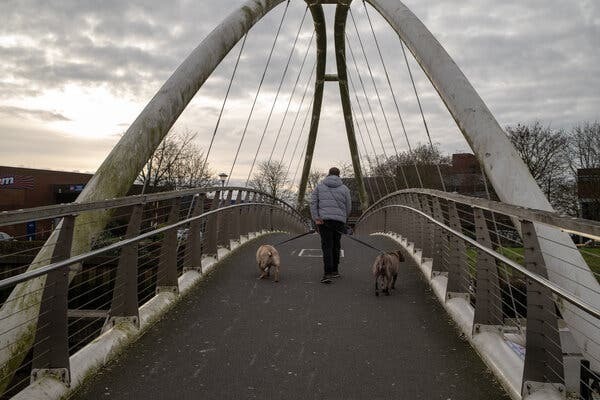 Для британских фермеров последствия Brexit стали яснее
