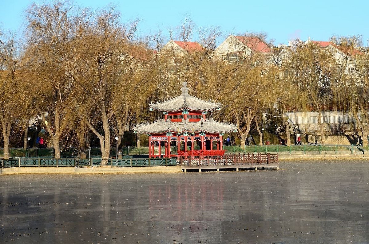 Восточная Азия по лунному календарю отмечает Новый год кролика !!!