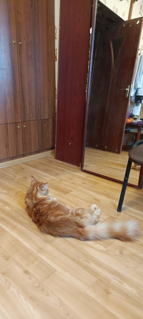 Как начать свое путешествие к самопознанию