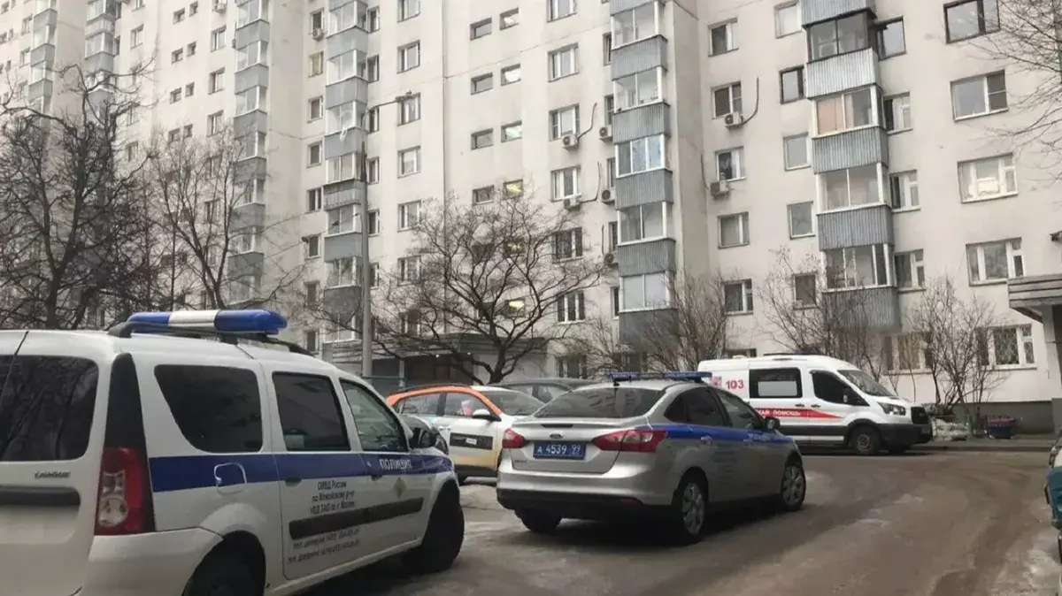 В Москве 33-летний мужчина зарезал свою мать и попытался убить свою сестру - инцидент произошёл в квартире на улице Витебская